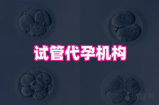 梦美助孕网 4